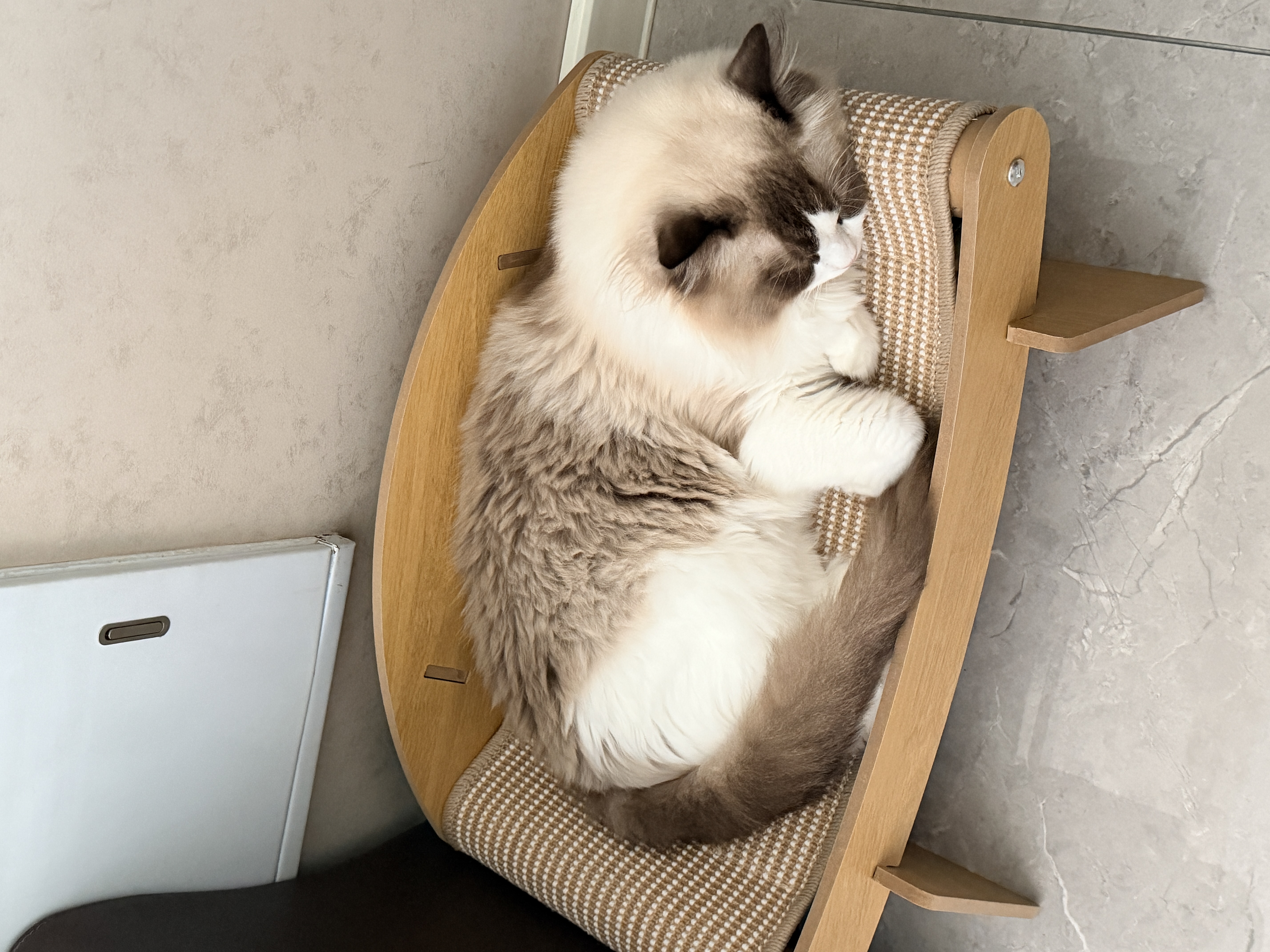 梵都宠舍猫抓板手工编织剑麻垫猫咪磨爪猫床贵妃椅猫沙发 实拍图