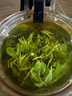 草木方花草茶 小叶苦丁茶250g 特级2026新茶嫩芽四川峨眉山头采明前茶叶 实拍图