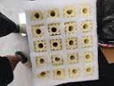 创宁远红纳米细菌屋大号20根 鱼缸底滤池陶瓷净水硝化培菌过滤材料 实拍图