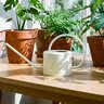 沃施（WORTH）简约铁艺园艺浇水壶家用洒水壶 浇花水壶阳台水壶 花园工具1L 实拍图