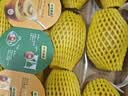 佳沛（zespri）新西兰阳光金奇异果16粒礼盒经典果单果 88-103g  猕猴桃水果礼盒 实拍图