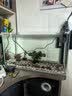 金晶超白鱼缸客厅桌面小鱼缸玻璃草缸龟缸懒人家用生态造景水族箱 长60CM宽30CM高35CM（厚度6MM） 金晶超白鱼缸裸缸 实拍图