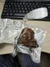 三只松鼠轻卤牛腱肉原味400g/8袋健身代餐卤牛肉送玉米鸡肉60g*2袋 实拍图