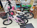 大行（DAHON）P8折叠自行车经典成人20英寸8速折叠车男女式运动单车KBC083 白色【经典版】 实拍图