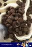 愛肯拿（ACANA）狗粮清火 鸭肉梨低敏去泪痕全价通用原装进口狗粮11.4kg效期27/10 实拍图