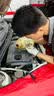 嘉实多（Castrol）极护智E版双次小保养卡 0W-20 C5 4L 含机油+机滤+工时 汽车保养 实拍图