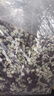 十月稻田 赤豆薏米粥 2斤 杂粮粥米 赤小豆小粒薏仁米 红豆薏米 煮粥煮水 实拍图