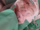 凯锐思豆腐猫砂除味猫沙豆腐砂豆腐渣低粉尘大颗粒结团吸水可冲厕所 【性价比豆腐砂4包】共18.4斤 实拍图