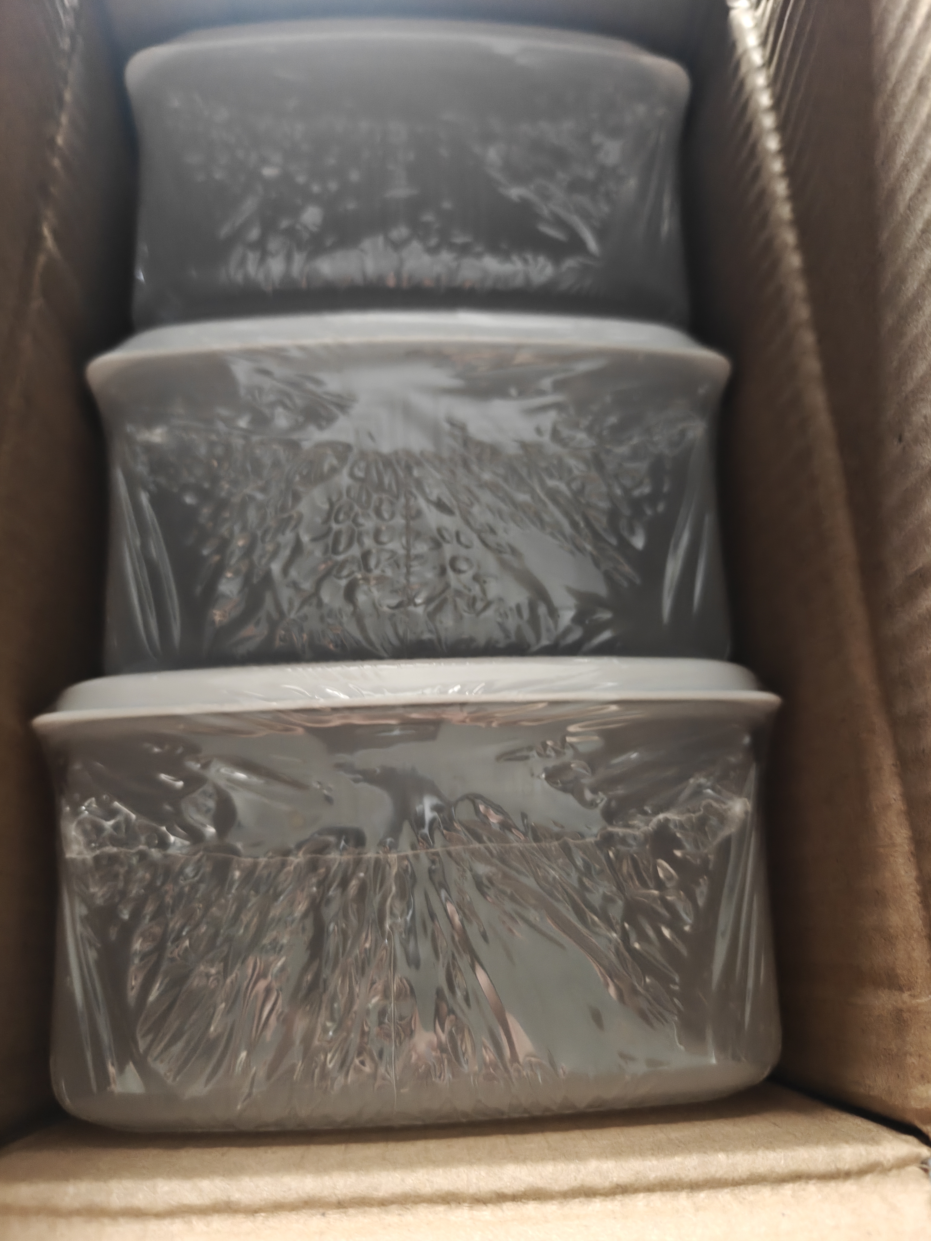 佳帮手冰箱保鲜盒食品级抗菌收纳盒密封水果蔬菜冷冻盒1500ml3只装 实拍图