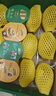 佳沛（zespri）新西兰 阳光金奇异果12粒特大果单果124-146g 猕猴桃水果礼盒 实拍图