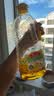 鲁花【保真菜籽油】食用油 低芥酸特香菜籽油 900ml 物理压榨  实拍图