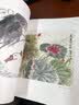 中国画国画入门技法教程技有所承画荷花八所美术学院老师联合推荐从入门到提高的国画教程图解视频讲座临摹创作赏析荷花绘画基础入门 实拍图