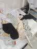 棉奇熊儿童袜子夏季薄款棉袜童袜女孩宝宝男童夏袜女宝女童春夏网眼短袜 实拍图