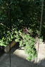 松下（Panasonic）Lumix G100D M43画幅相机 M43卡口 微单相机 无反数码相机 G100D单机+【25mmF1.7】单镜头定焦 实拍图
