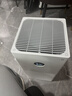 米家小米空气净化器4lite  除甲醛除菌除异味 空气伴侣 除PM2.5 AC-M17-SC 实拍图