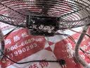 钻石牌工业风扇趴地扇台式趴地电风扇强力商用台地扇大功率趴地风扇工厂坐地扇大风力EF-50L 实拍图