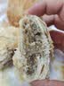 芝麻官正宗黄庄月饼五仁酥皮月饼420g河北石家庄特产糕点心中秋节送礼 实拍图