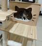 唐米吉吉加粗大型猫爬架猫窝猫树一体太空舱猫架子小户型不占地剑麻猫玩具 【135cm咖啡喵屋】可拆卸猫屋 实拍图