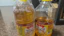 鲁花食用油 物理压榨 非转基因 玉米油6.18L 家用粮油 健康植物油 实拍图