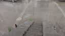斯凯奇小白熊|女鞋透气小白鞋增高复古老爹鞋运动鞋11931 实拍图