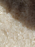 王牌蒂尼智慧屏【电视机排行前十名】8K液晶全面屏家用护眼智能网络超高清蓝光WiFi无边框语音手机投屏客厅 65英寸 （长113cm宽65cm）网络版 极清8K智能版16+512G+会员观看 实拍图