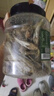 京东京造香酥小黄鱼420g 即食下酒海鲜小鱼干零食鱼仔酥脆高蛋白 实拍图