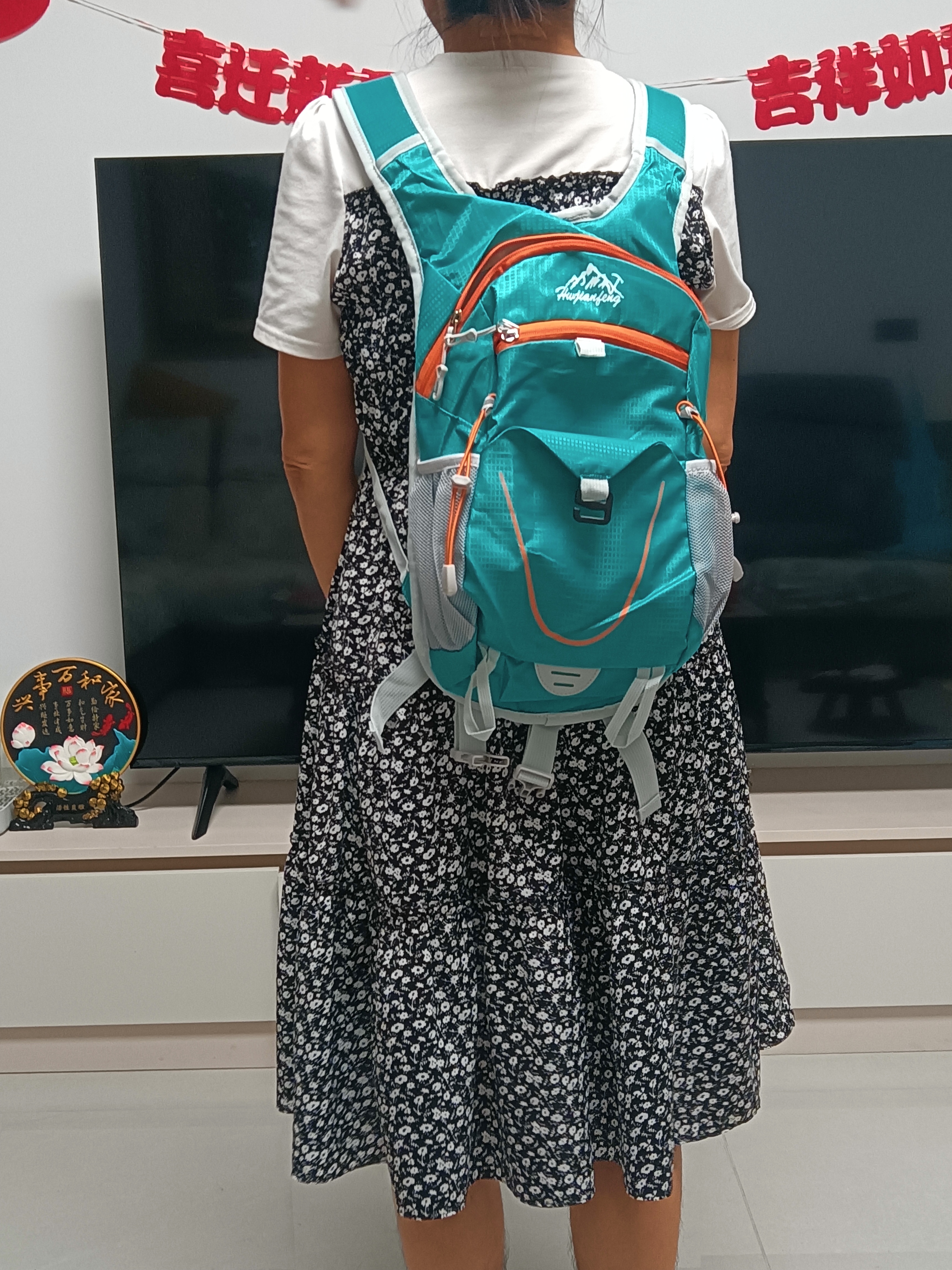 迪卡侬同款户外双肩包登山包骑行包徒步超轻男女休闲旅游轻便背包 湖蓝色 实拍图