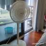先锋【价低头部主播8折】家用电风扇落地扇米白风扇节能宿舍小风扇台地扇空气循环扇静音大风量风扇 实拍图