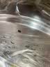 美的（Midea）蒸锅304不锈钢蒸煮两用汤锅馒头包子家庭用蒸笼锅蒸一体多功能 实拍图