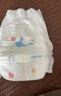 安儿乐（Anerle）小轻芯纸尿裤M76片(6-11kg) 超薄透气【品牌直供 安心品质】 实拍图