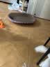 【京东物流】猫抓板磨爪猫窝一体耐磨不掉屑超大号猫玩具猫咪用品 椭圆巨无霸+猫薄荷 实拍图