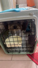 腆宠  宠物航空箱大号 猫咪航空箱猫狗 猫包猫笼外出车载猫箱狗狗托运 实拍图