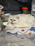 pidan猫砂 豆腐猫砂2.4kg*4包强力吸臭纯猫砂 可冲厕所非膨润土砂 实拍图