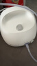 鱼跃（yuwell）雾化器家用儿童成人老人医用压缩式雾化器3.2微米亲肤面罩403E 实拍图