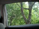 松下（Panasonic）Lumix G100D M43画幅相机 M43卡口 微单相机 无反数码相机 G100D单机+【25mmF1.7】单镜头定焦 实拍图