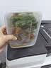 特美居（temeiju）一次性饭盒长方形透明塑料快餐盒加厚带盖打包盒餐具50套装650型 实拍图