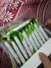 南国海南特产椰香薄饼干2盒 休闲特色薄脆饼干零食小吃 实拍图