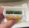 史丹利缓释肥营养棒24g 花肥家用盆栽通用养花复合氮磷钾花卉型多肉 实拍图