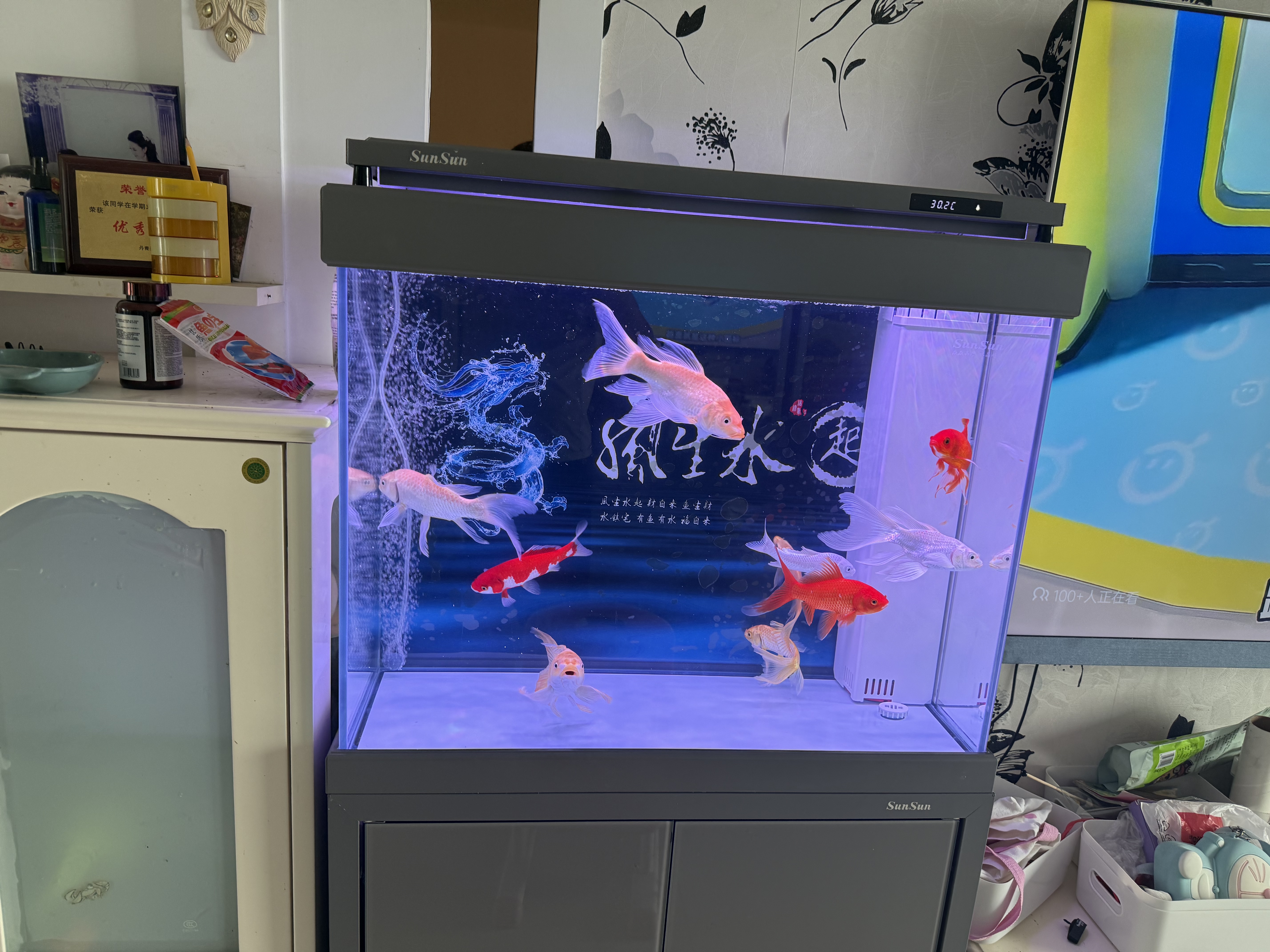 森森（SUNSUN）大型鱼缸底过滤水族箱客厅家用落地玻璃生态金鱼缸 超白款升级底滤 0.8米长35cm宽（黑白灰可选） 实拍图