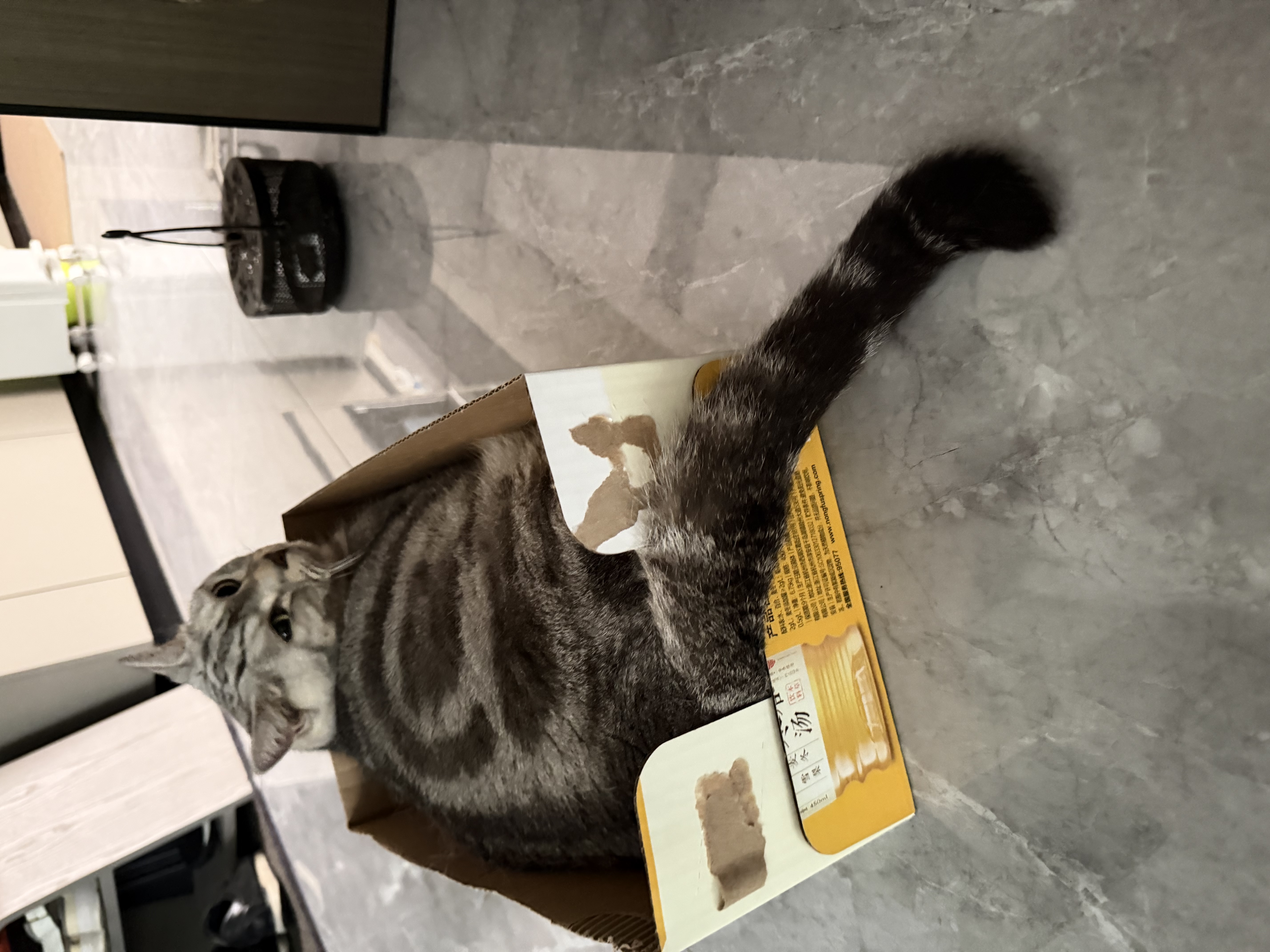 网易严选全价猫粮4.0 宠物主粮成幼猫无谷多重禽肉高蛋白 鸡鸭禽肉味10kg 实拍图
