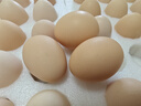 京鲜生 无抗保洁鲜鸡蛋30枚/盒 健康轻食 礼盒送礼 1.5kg/盒 源头直发 实拍图