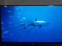 AOC 27英寸4K165Hz Gen.3五层堆叠QD-OLED 第五代BlackAGLR涂层 抗反射抗眩光更黑 电竞显示器U27G4D 实拍图