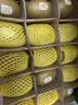 佳沛（zespri）新西兰阳光金奇异果18粒礼盒优选果单果103-124g 猕猴桃水果礼盒 实拍图