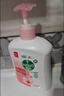 滴露（Dettol）健康抑菌洗手液滋润倍护500g 消毒抑菌99.99% 儿童适用不含酒精 实拍图