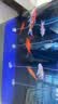 松宝（sobo）鱼缸增氧泵氧气泵养鱼充氧泵小型家用制氧机水族箱增氧机 8W四孔 实拍图