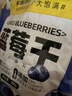 三只松鼠每日蓝莓干500g 蜜饯果干酸甜休闲零食下午茶孕妇儿童健康零食 实拍图