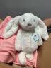 Jellycat害羞乳白色邦尼兔动物毛绒玩偶安抚玩偶娃娃送礼生日礼物 害羞乳白色邦尼兔 Medium 实拍图