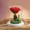 RoseBox七夕情人节生日礼物永生花小王子玫瑰花结婚纪念送女生朋友高级 实拍图