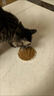 LEGENDSANDY蓝氏狗粮通用金毛拉布拉多泰迪鸡肉三文鱼金枪鱼15kg【囤货装】 实拍图