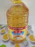 鲁花 食用油 物理压榨 葵花仁油6.18L  实拍图